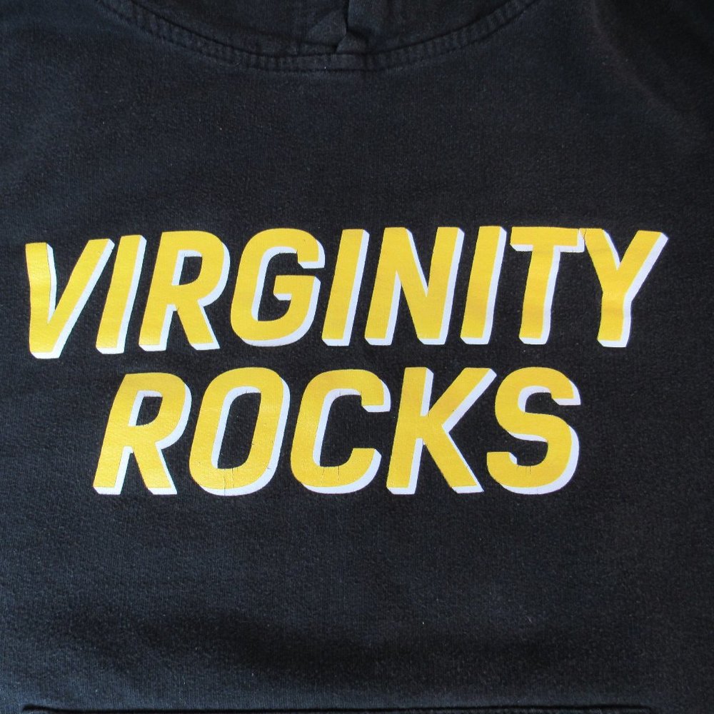 Independent Trading Company Virginity Rocks Graphic Black Hoodie Sweatshirt - Picture 3 of 6